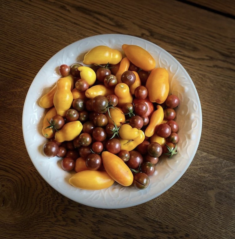 It’s Tomato Season
